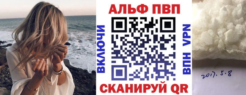 Альфа ПВП СК КРИС  Шуя 