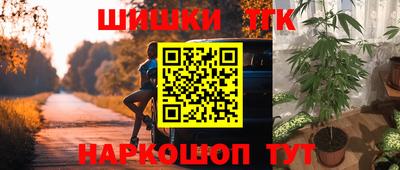 PSILOCYBIN Гусиноозёрск