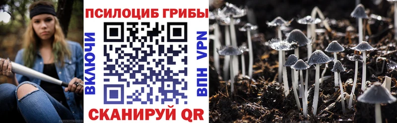 Псилоцибиновые грибы Psilocybe  Шуя 